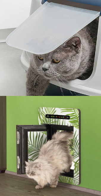 Katzenklappen Vergleich